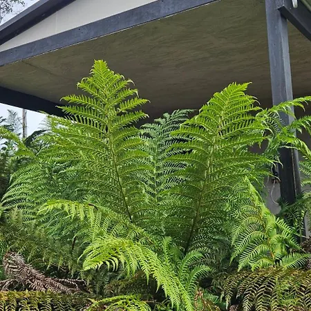 Cradle Alpine Retreat-2