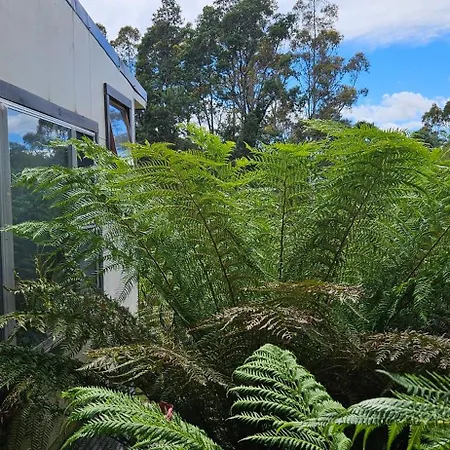 Cradle Alpine Retreat-3